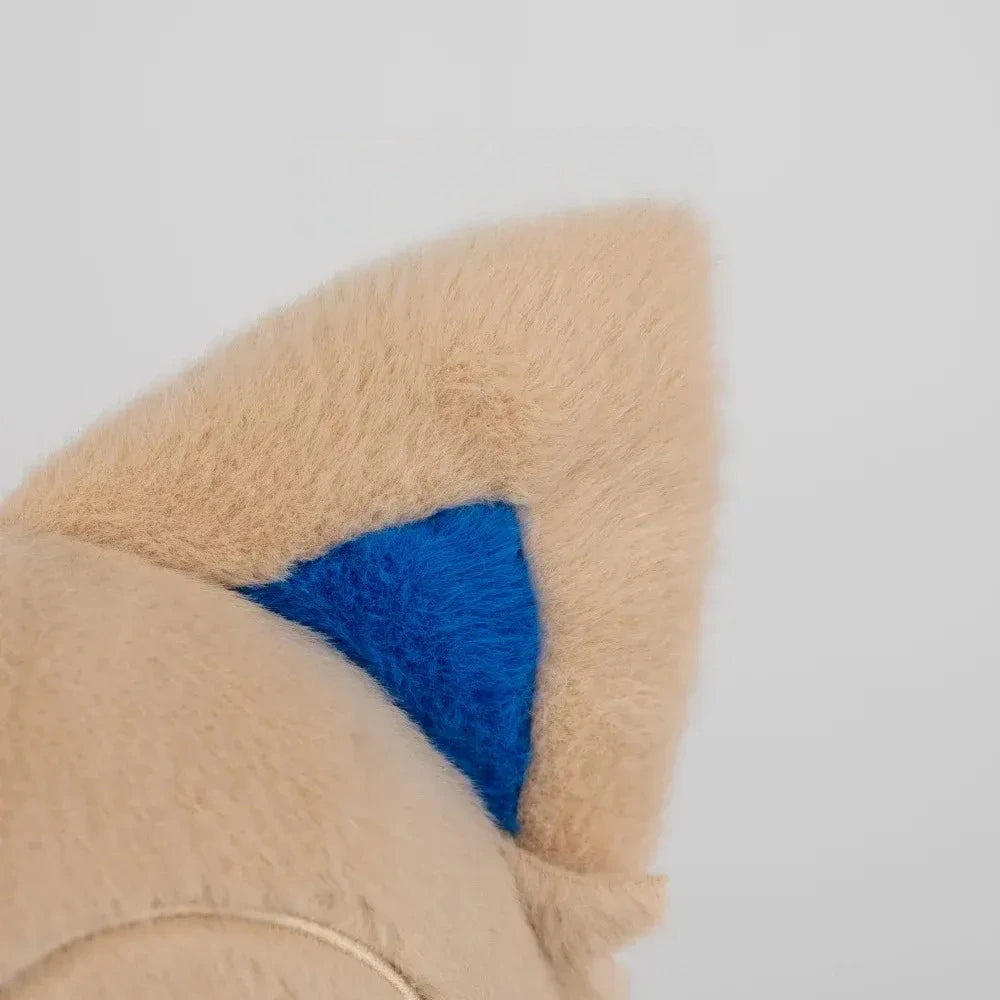 Kento Meow (16IN)