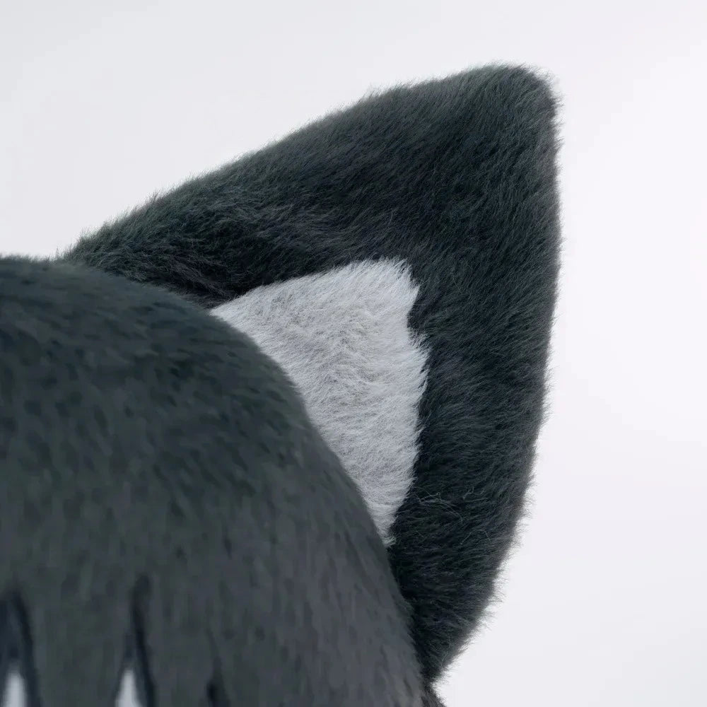 Tojimeow (17IN)