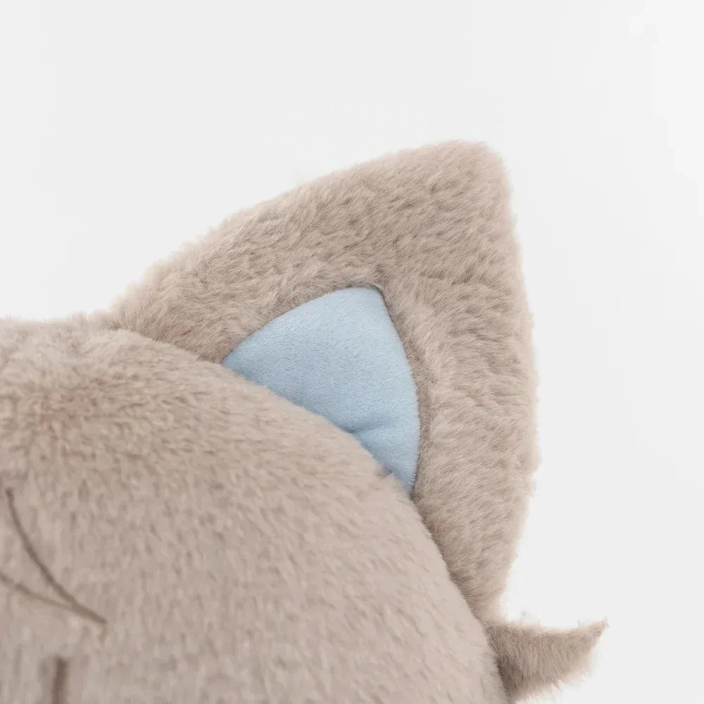 Xaviermeow (17IN)