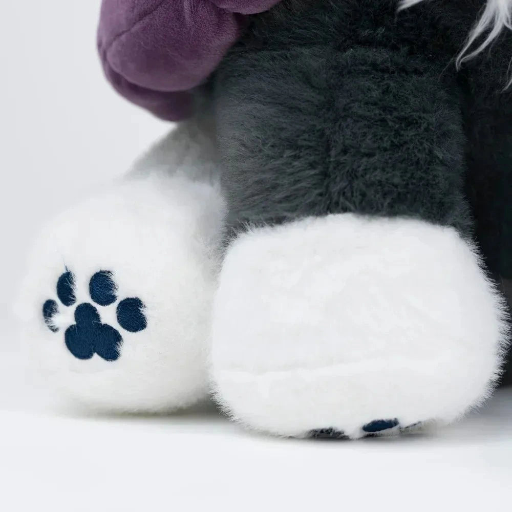 Tojimeow (17IN)