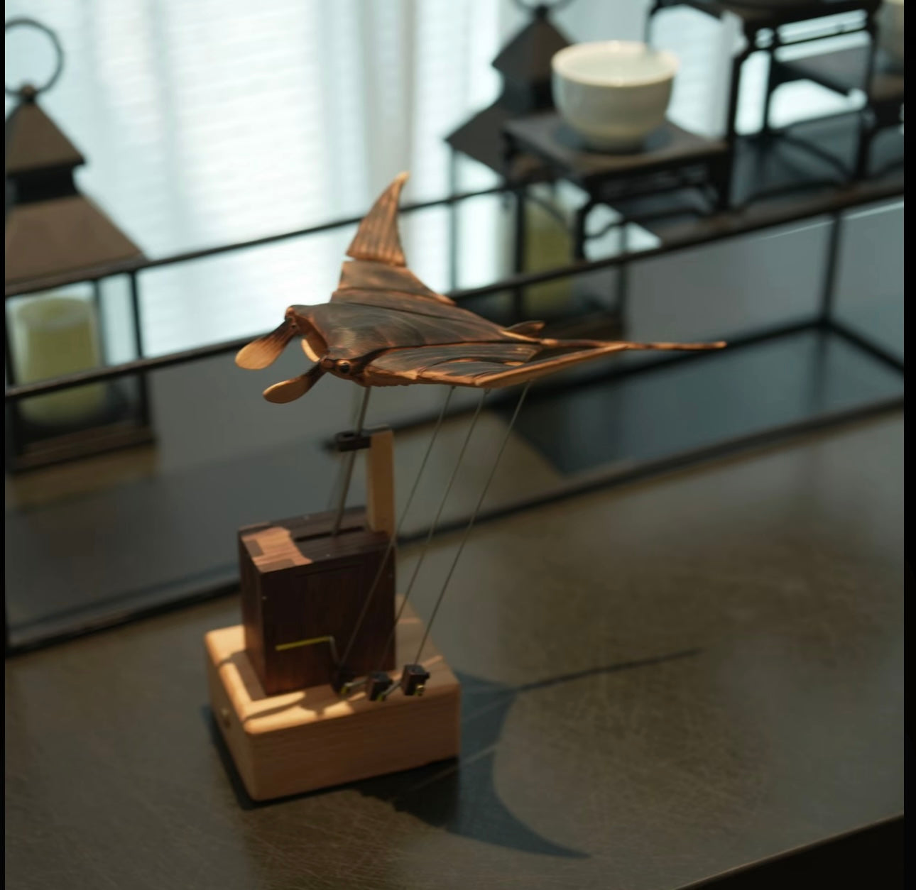 Black Walnut Flying Devilfish