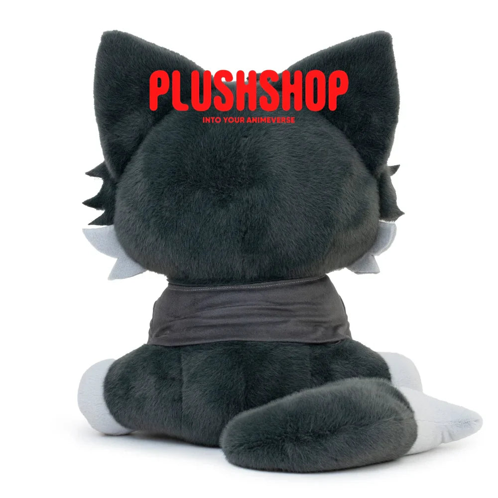 Akaashimeow (17IN)
