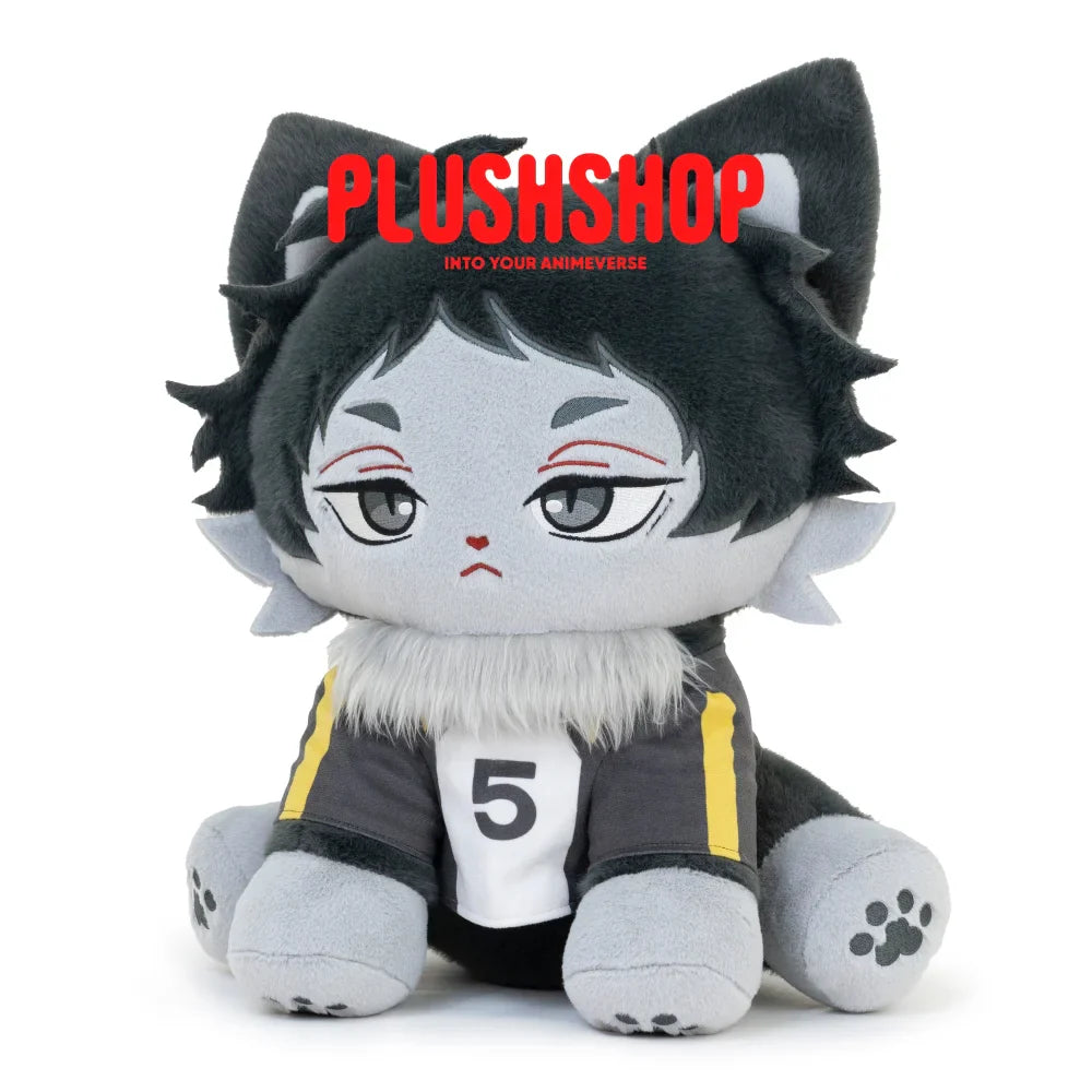 Akaashimeow (17IN)