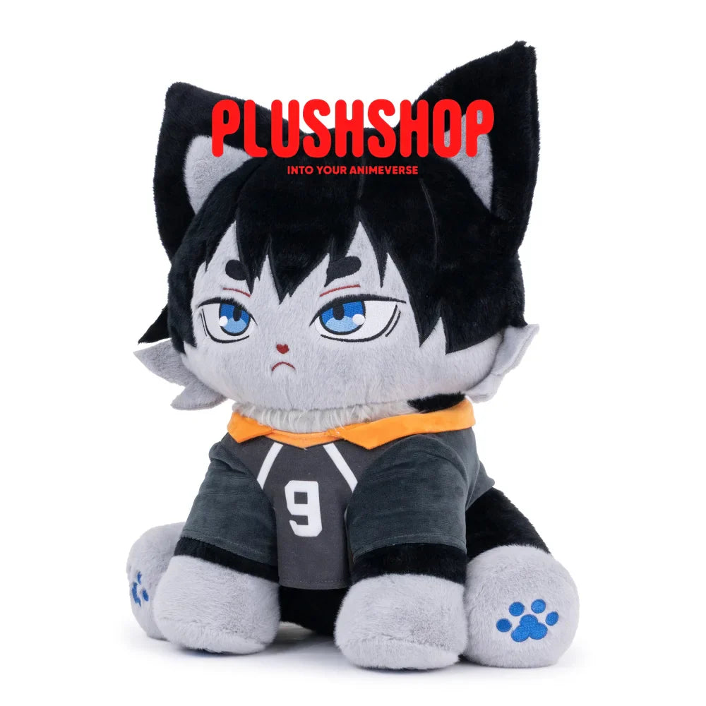 Kageyamameow (17IN)
