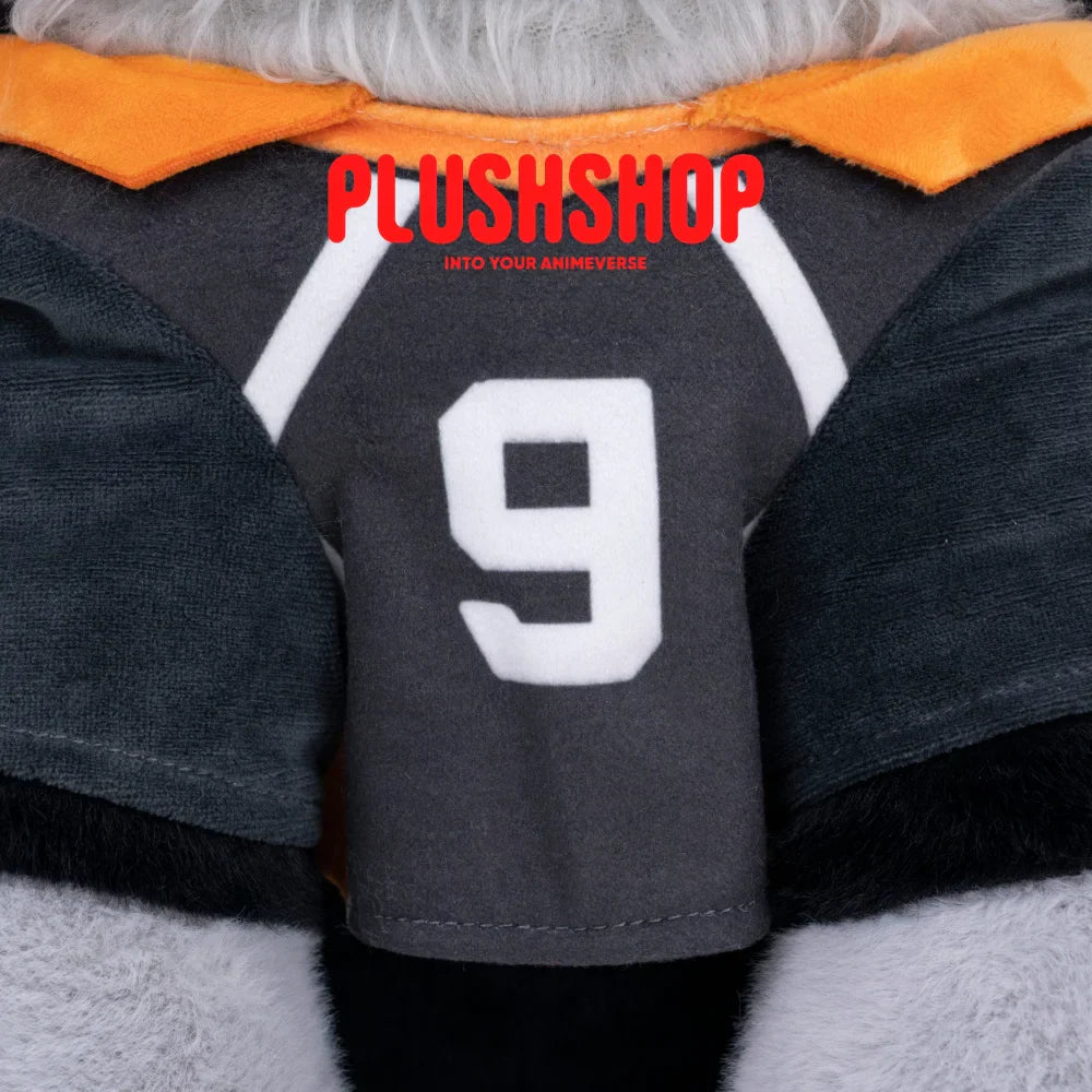 Kageyamameow (17IN)
