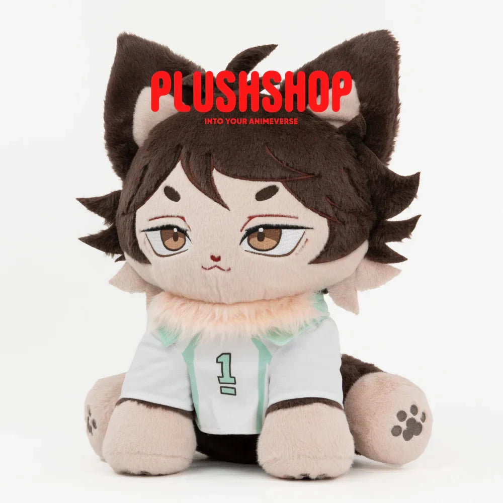 Oikawameow (17IN)
