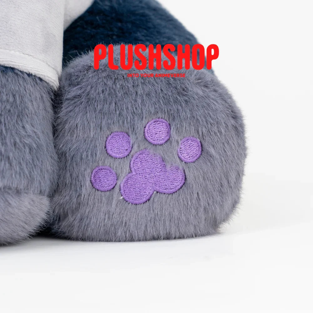 Sasukemeow (17IN)