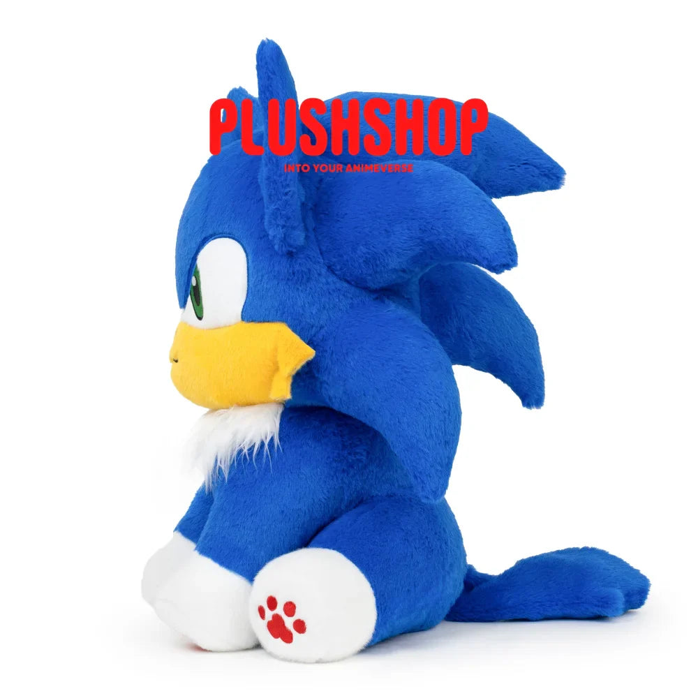 Sonicmeow(17IN)