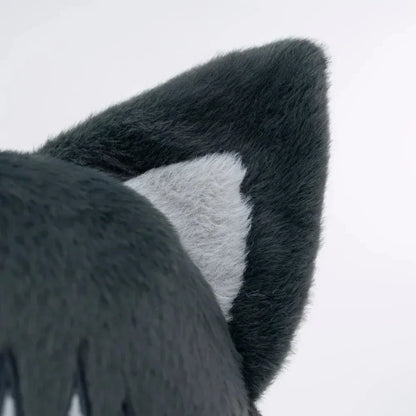 Tojimeow (17IN)