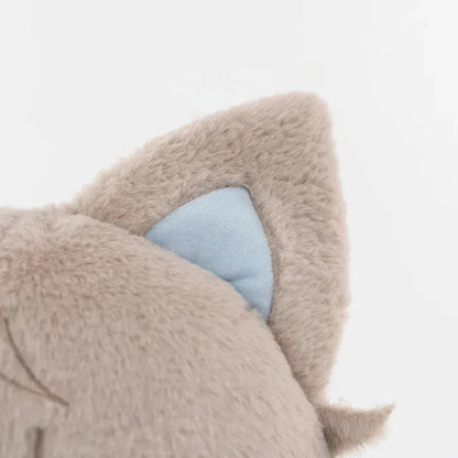 Xaviermeow (17IN)