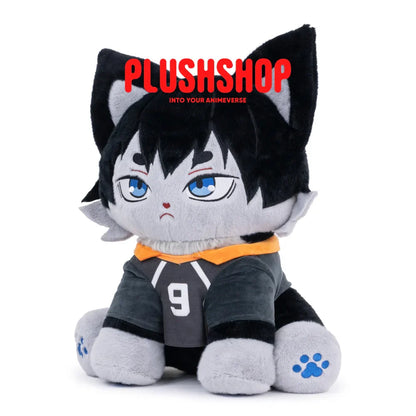 Kageyamameow (17IN)