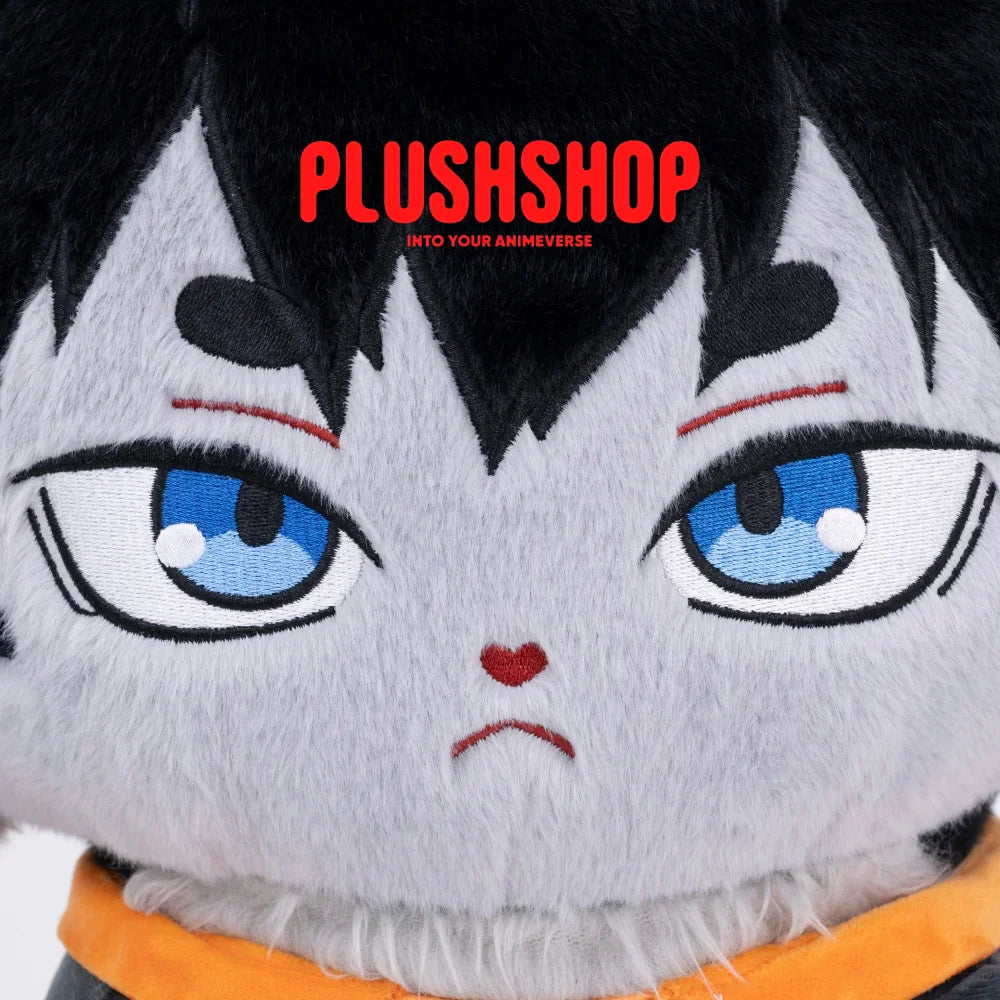 Kageyamameow (17IN)