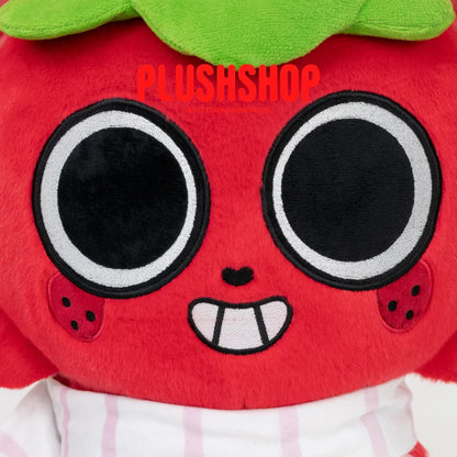 Sproutmeow (17IN)
